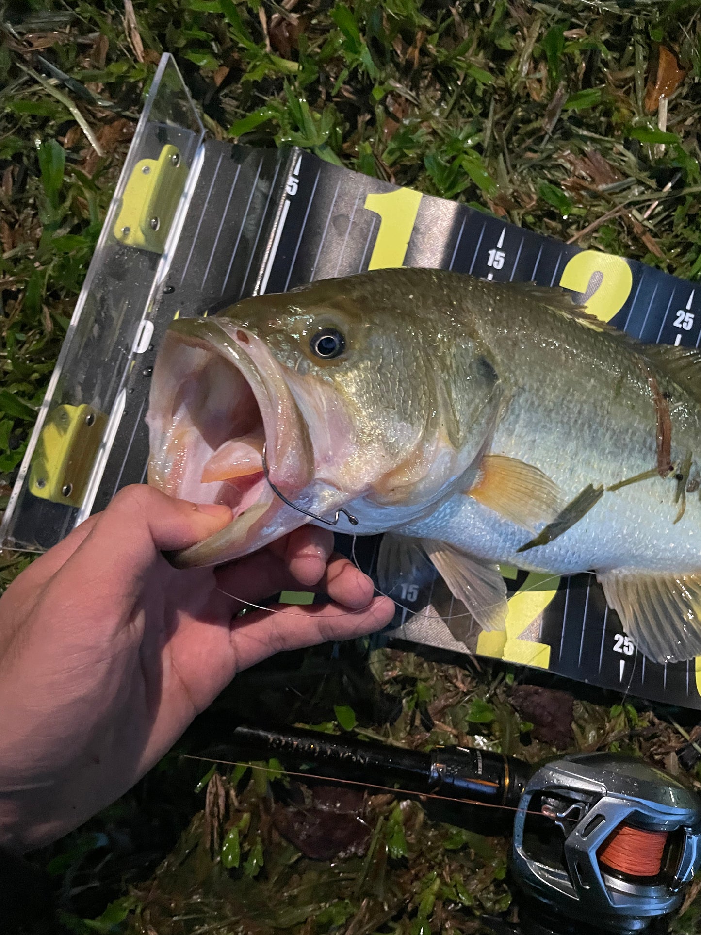 Kira Extra Sharp Fishing Offset Hook 10pcs KIRA Fishing