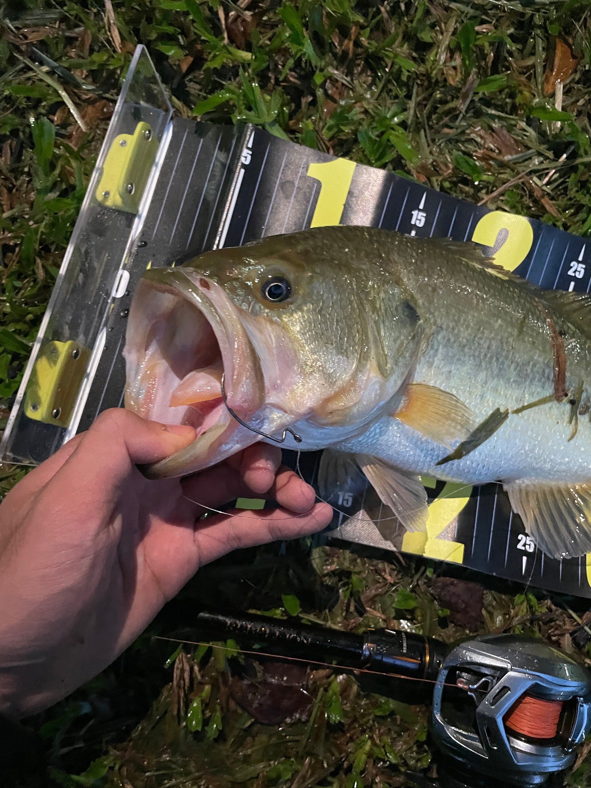 Kira Extra Sharp Fishing Offset Hook 10pcs KIRA Fishing