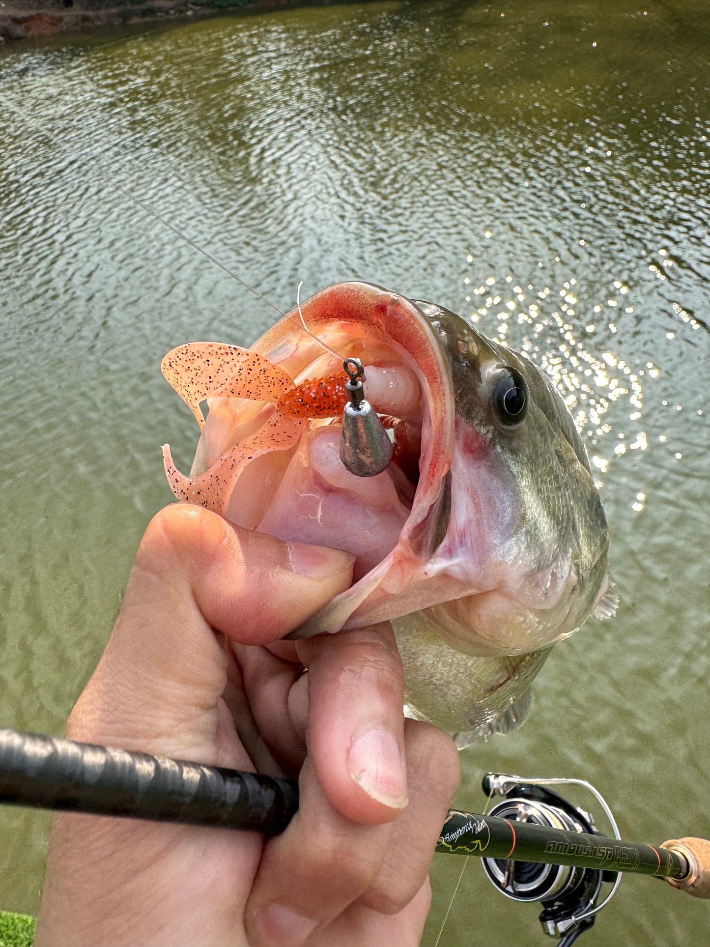 KIRA Double Tail Grub 7cm/3g