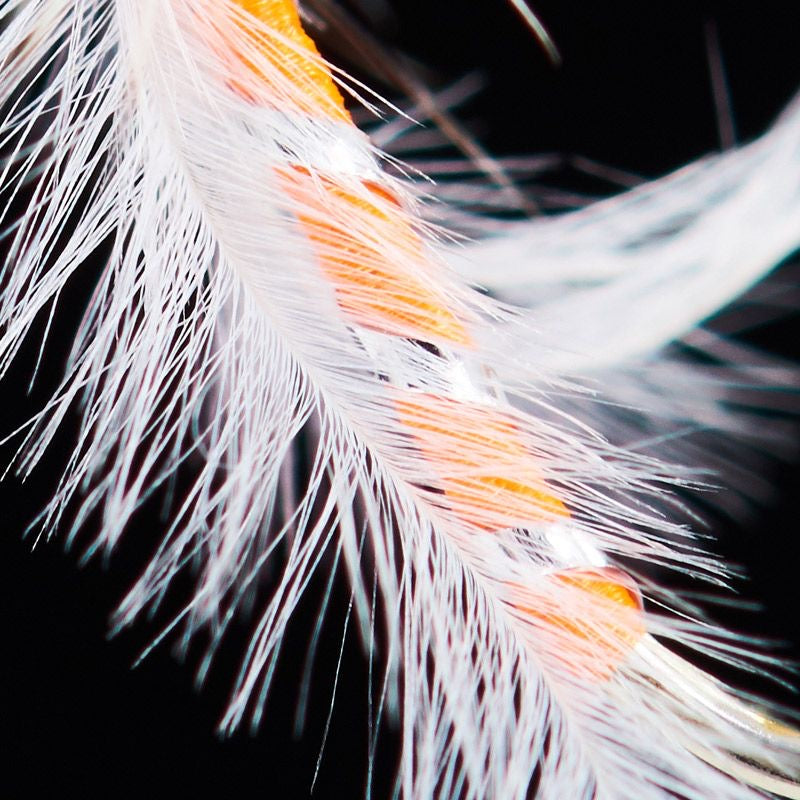Classic Trout Attractor Dry Fly For Fly Fishing 5/10pcs KIRA Fishing
