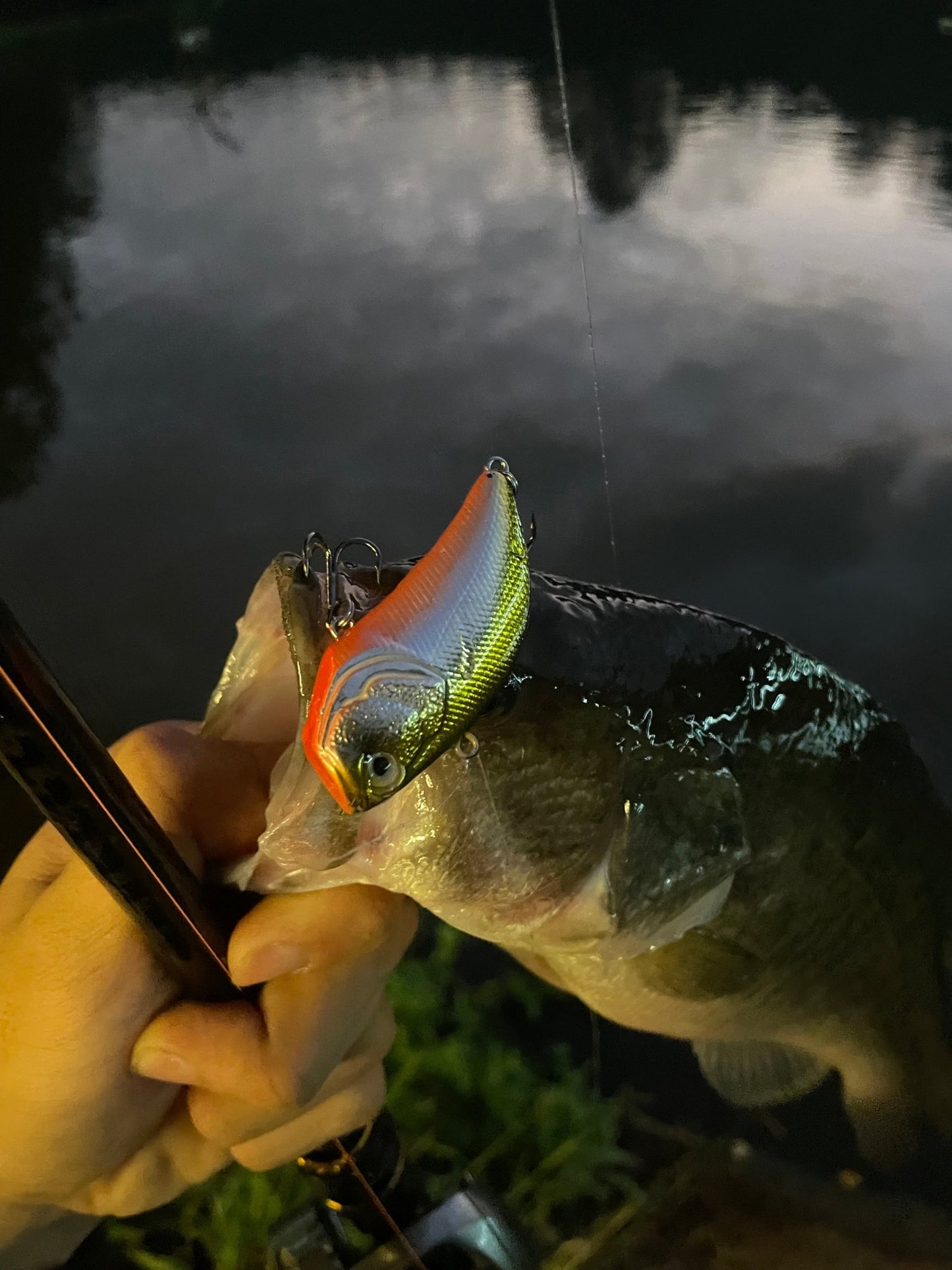 Kira Knocker Lipless Crankbaits - KIRA Fishing