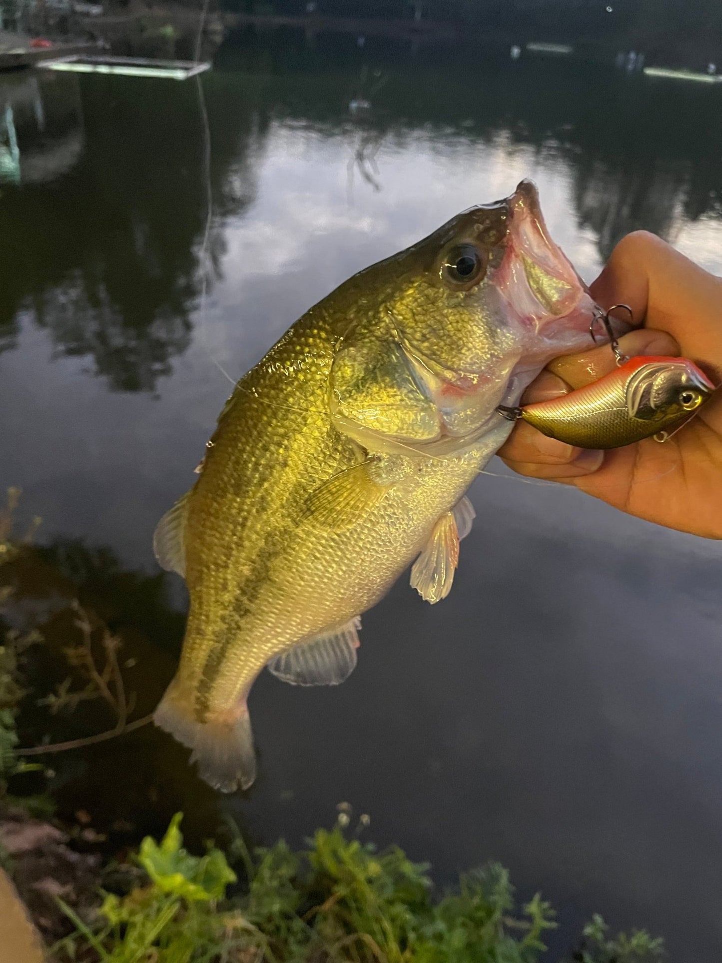 Kira Knocker Lipless Crankbaits - KIRA Fishing