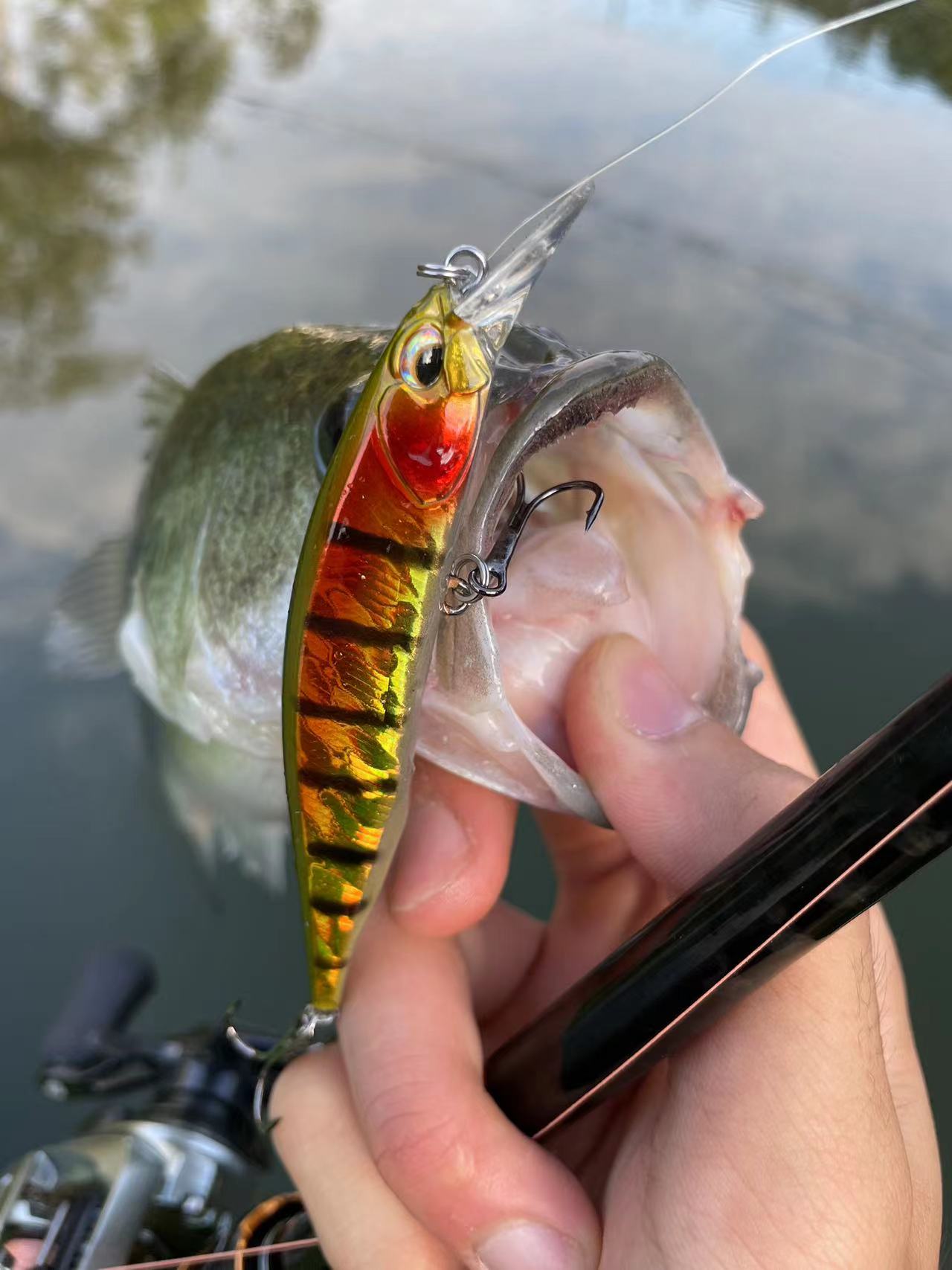 Minnow Floating Jerkbait - KIRA Fishing