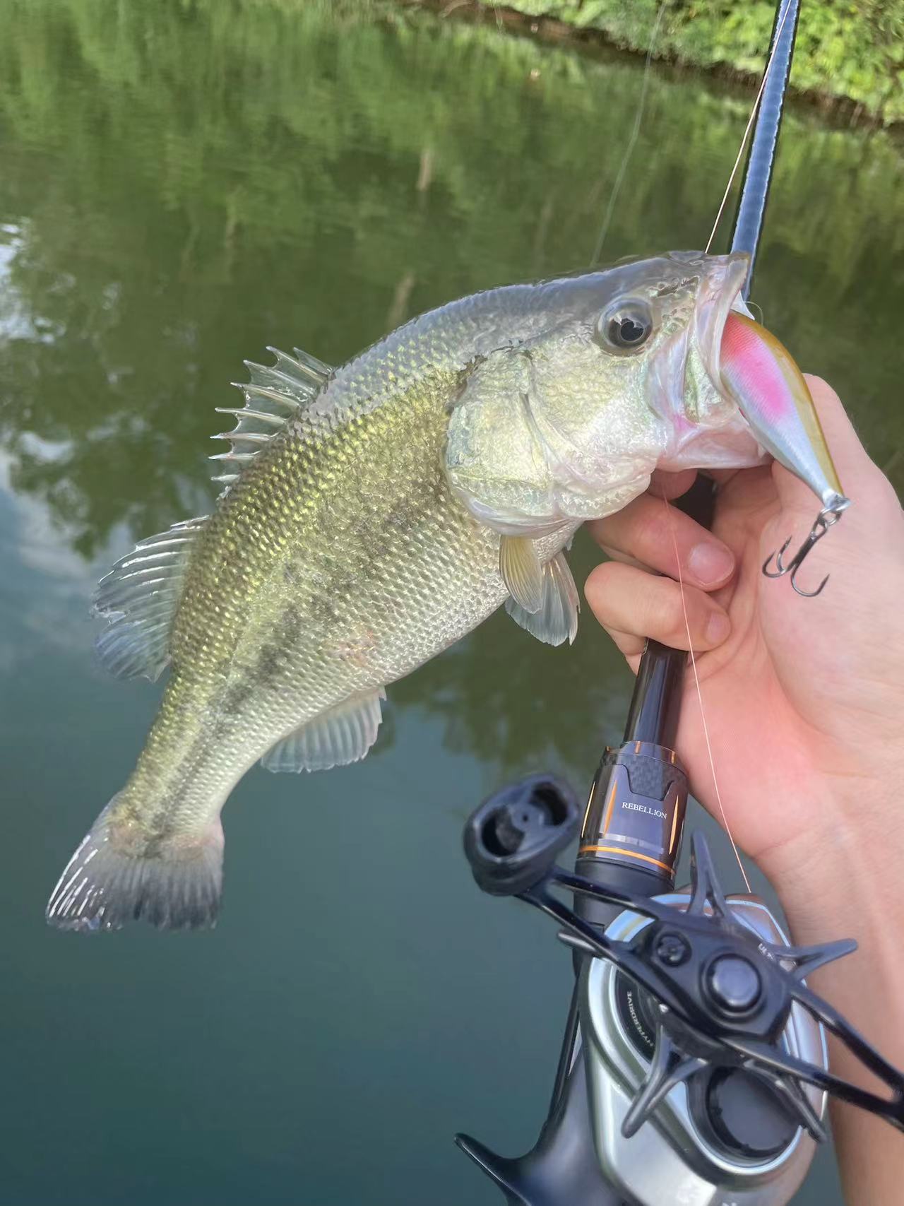 Minnow Floating Jerkbait - KIRA Fishing