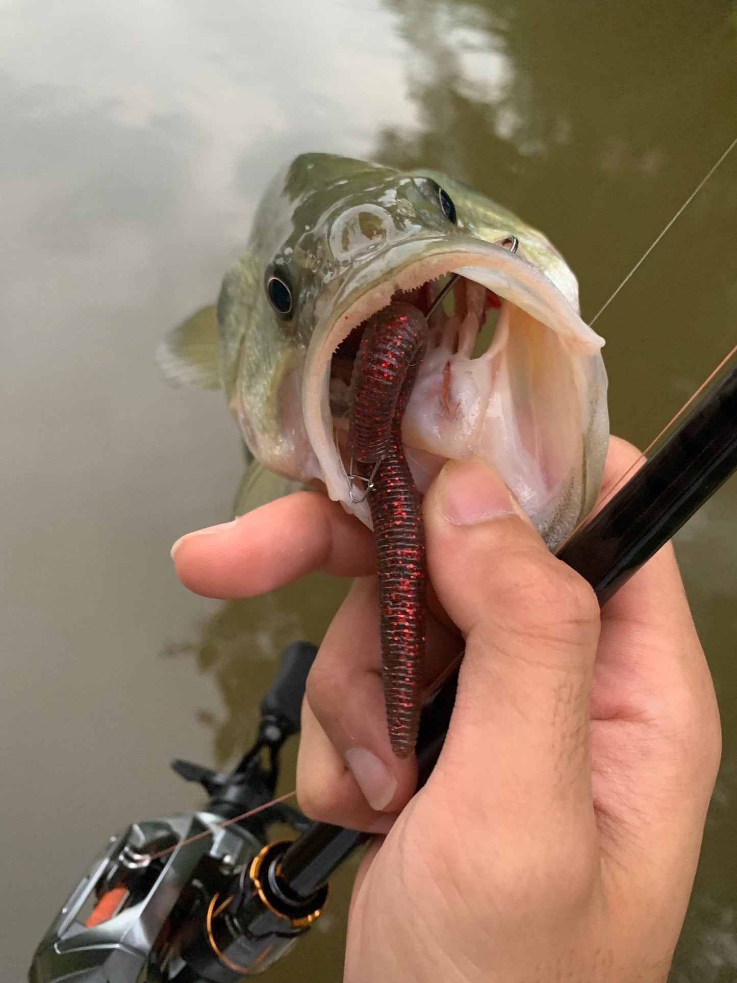 Senko Soft Lure 8pcs - KIRA Fishing