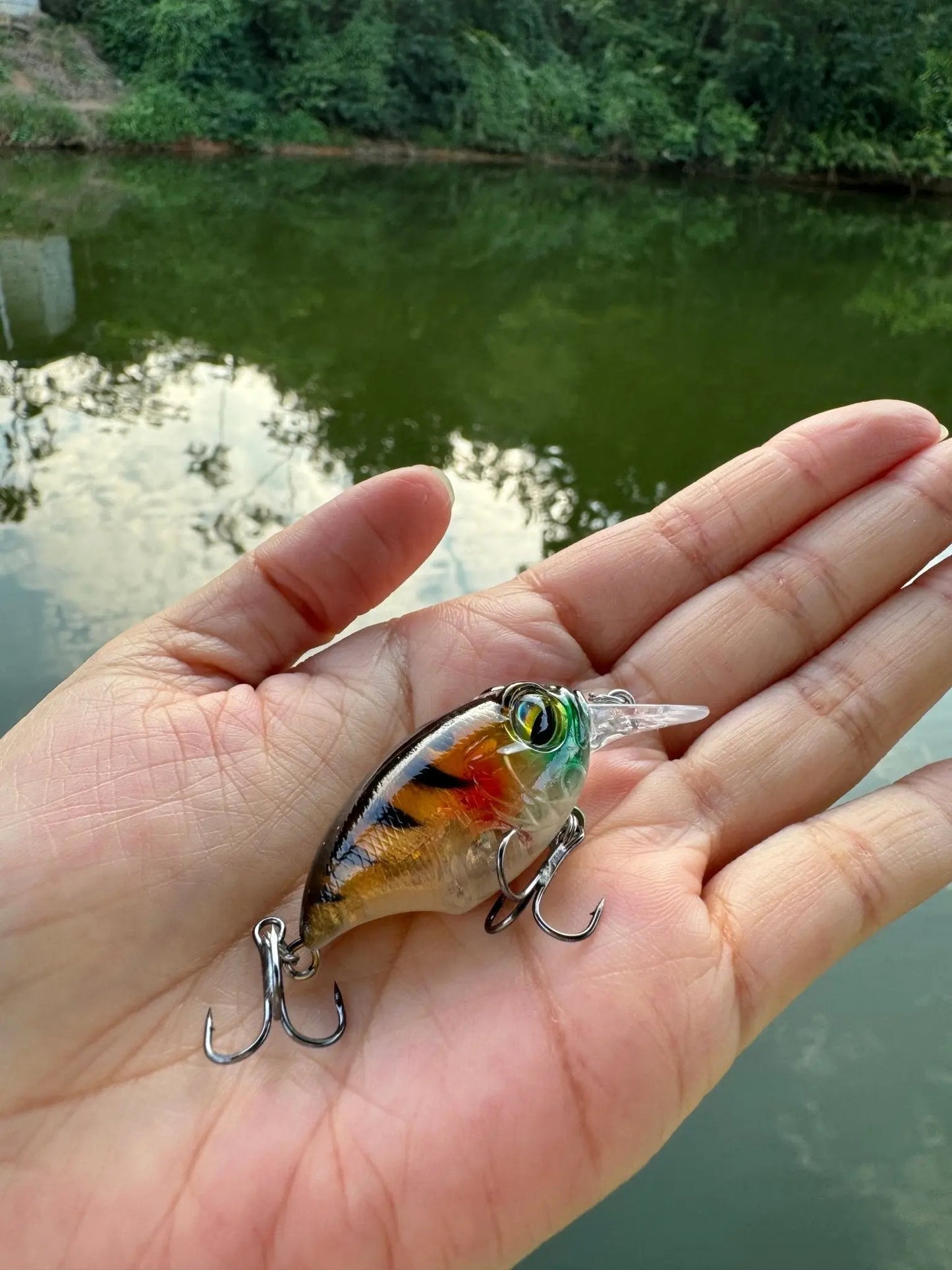 Shallow Diving Crankbait - KIRA Fishing