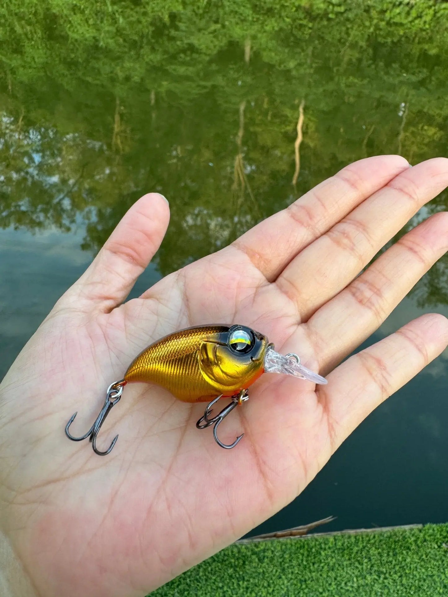 Shallow Diving Crankbait - KIRA Fishing