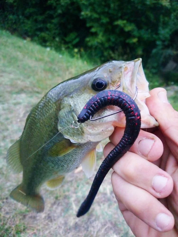 Trick Worm Soft Lures 6g/95mm 6pcs - KIRA Fishing