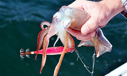 Autumn Squid Fishing: Master the Art of Catching Squid This Season